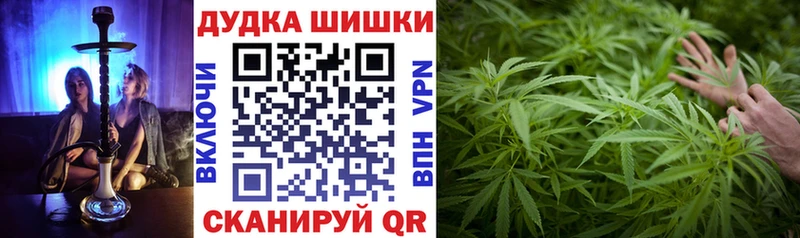 hydra как войти  Нижний Тагил  Бошки марихуана семена 